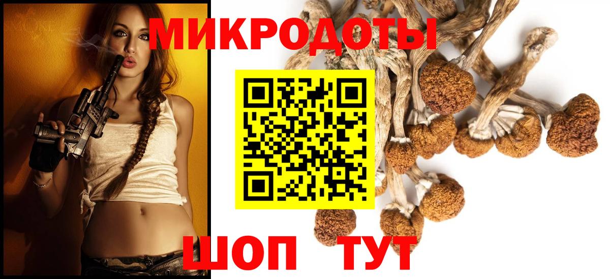 Галлюциногенные грибы Magic Shrooms  Вход с VPN  Норильск 